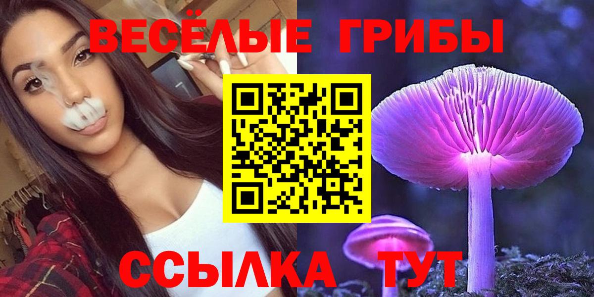 Галлюциногенные грибы GOLDEN TEACHER  Вход с VPN  Галлюциногенные грибы Cubensis  Джанкой 